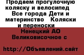 Продаем прогулочную коляску и велосипед. - Все города Дети и материнство » Коляски и переноски   . Ненецкий АО,Великовисочное с.